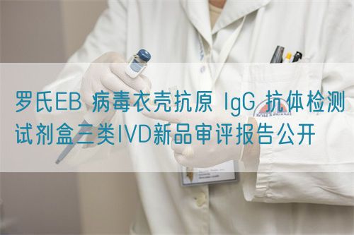 羅氏EB病毒衣殼抗原IgG抗體檢測(cè)試劑盒三類(lèi)IVD新品審評(píng)報(bào)告公開(kāi)