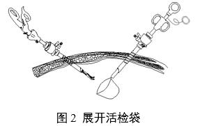 一次性使用內(nèi)窺鏡用活檢袋注冊審查指導(dǎo)原則（2025年第20號(hào)）(圖2)