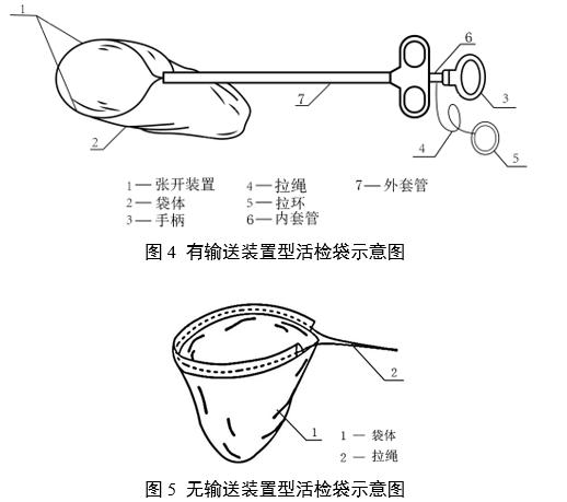 一次性使用內(nèi)窺鏡用活檢袋注冊審查指導(dǎo)原則（2025年第20號(hào)）(圖4)